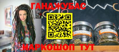сатива Гай