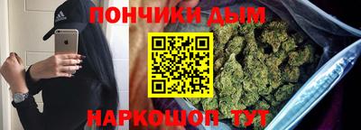 сатива Гай