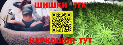 сатива Гай