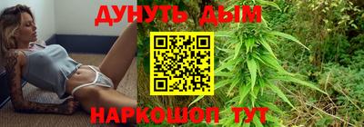 сатива Гай