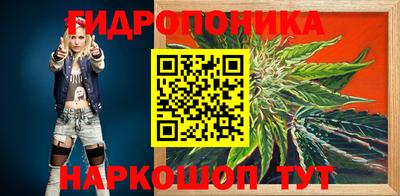 хмурый Гатчина