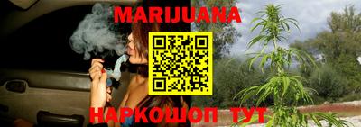 хмурый Гатчина
