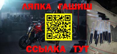 сатива Гай